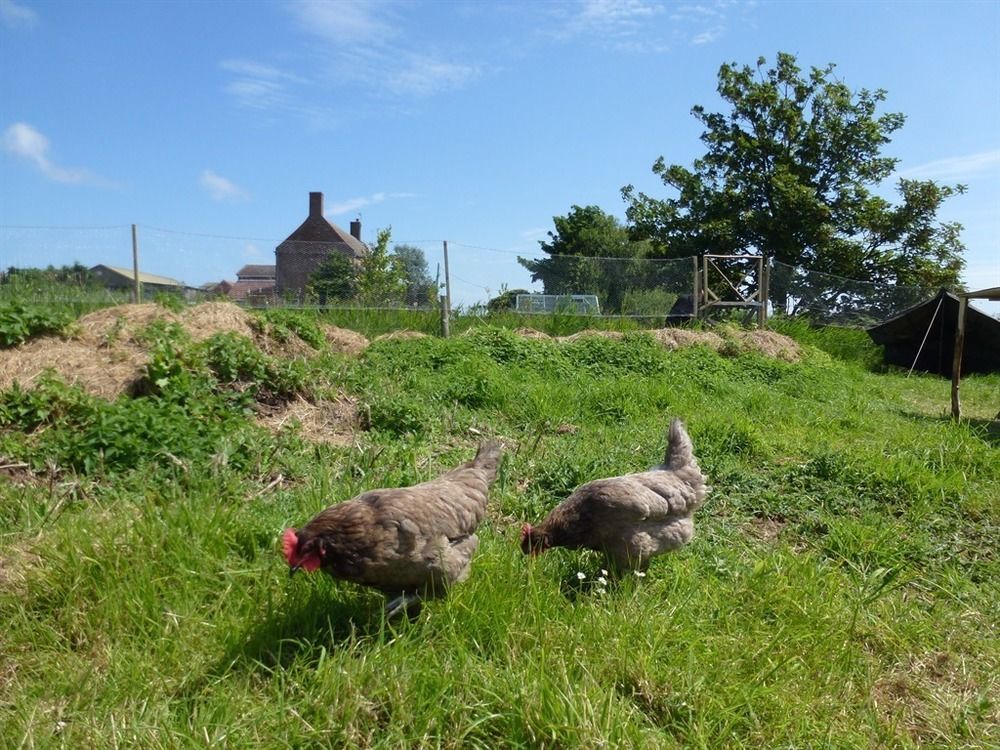 Manor Farm Stay Sutton-on-Sea Exteriér fotografie